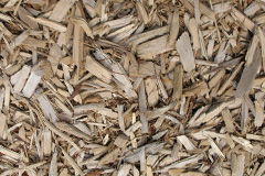 biomass boilers Greystone